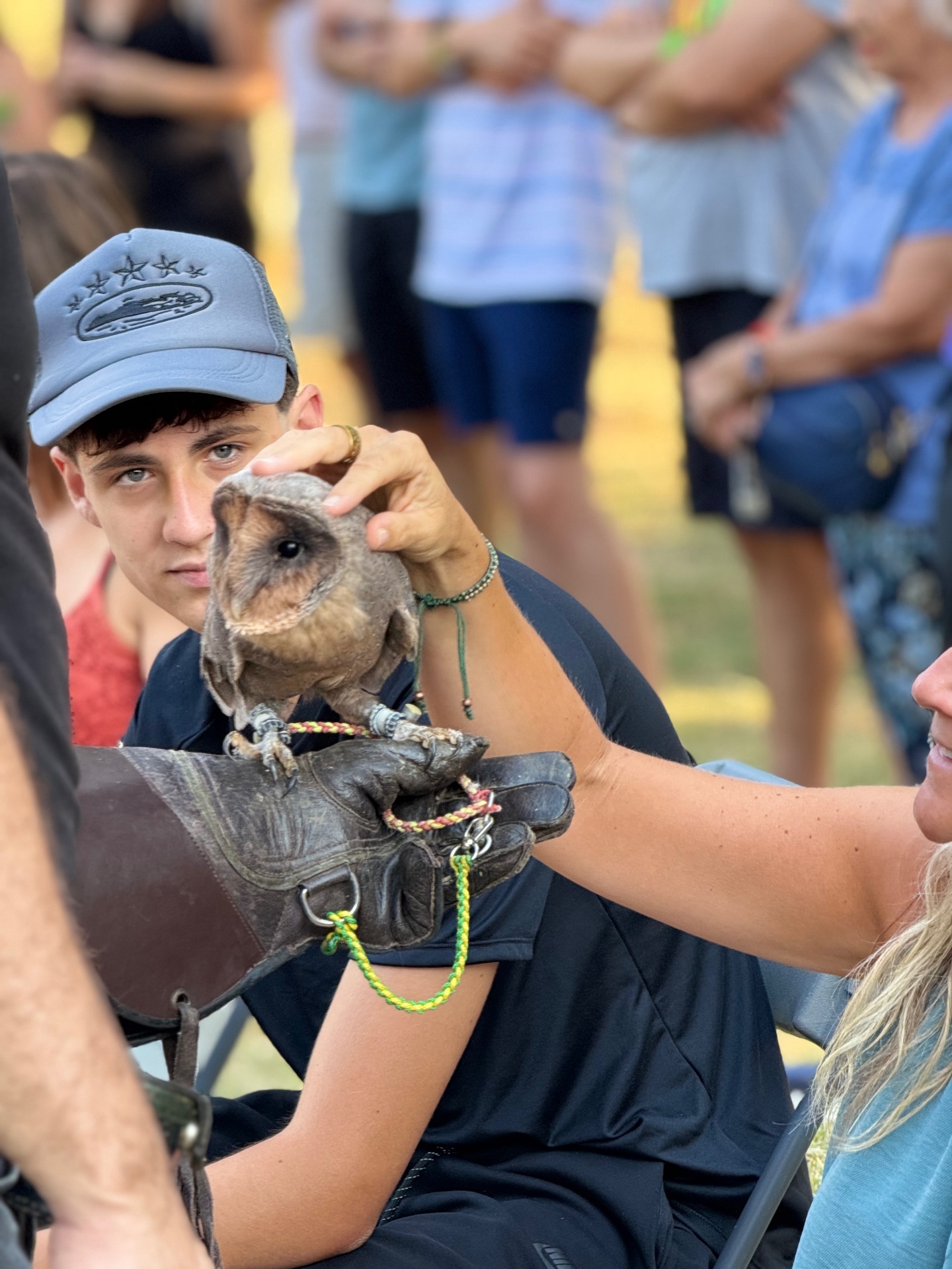 Taller de aves rapaces: lechuza junto al público